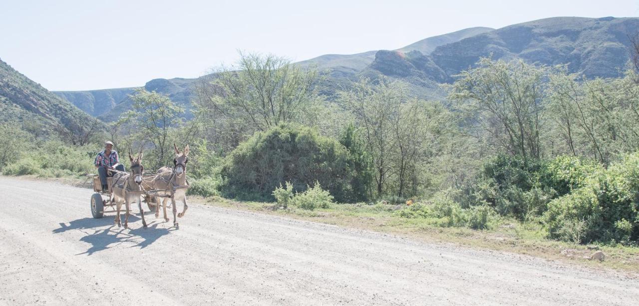 Sederkloof Lodge Studtis Εξωτερικό φωτογραφία